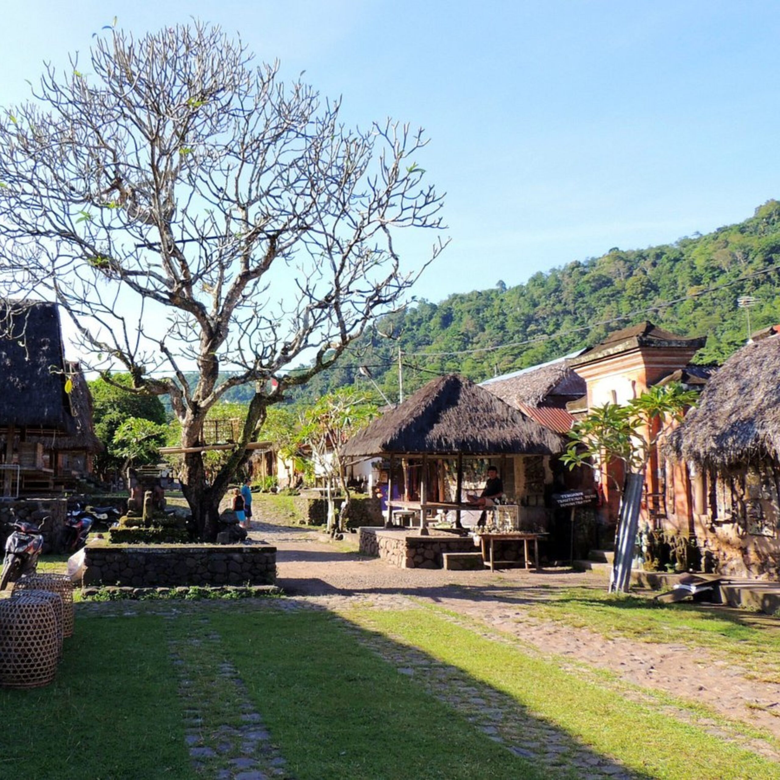 Tenganan Village